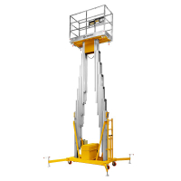 Подъемник мачтовый несамоходный GTWY 8-200S (220В; 200 кг; 8 м) SMARTLIFT HV Market