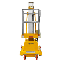 Подъемник одномачтовый GTWY 10-100 (220В, 125 кг, 10 м) SMARTLIFT (SMART) HV Market